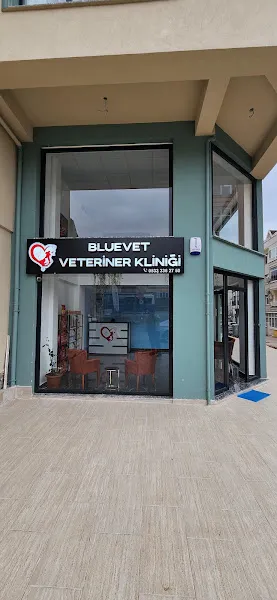 BLUEVET VETERİNER KLİNİĞİ foto 1