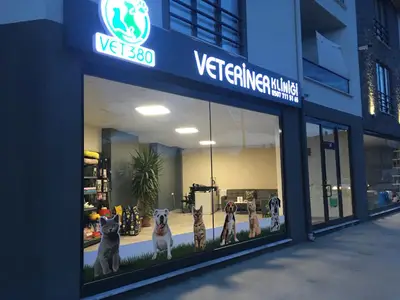 Vet380 Veteriner Kliniği