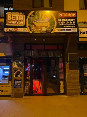 Beta Akvaryum & PetShop