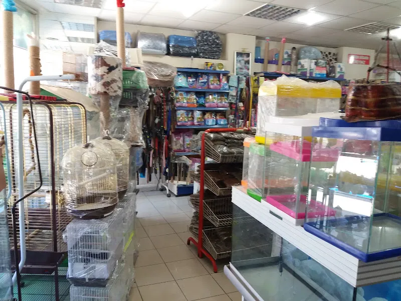 Avcı Pet Shop foto 2