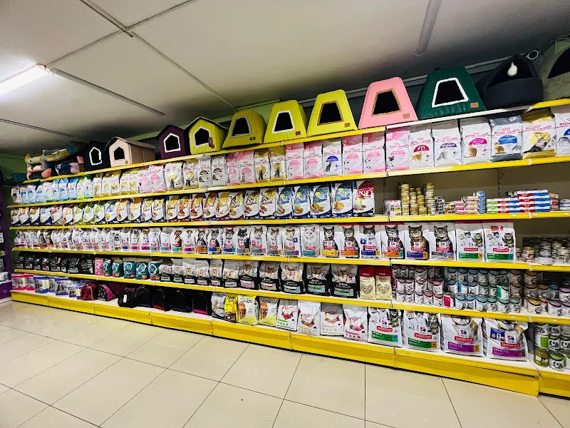 AYMİNA PETSHOP foto 2