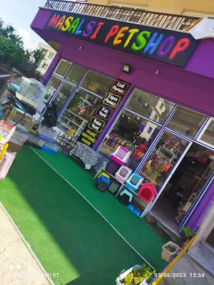 Masalsı Petshop & Balık Av Malzemeleri