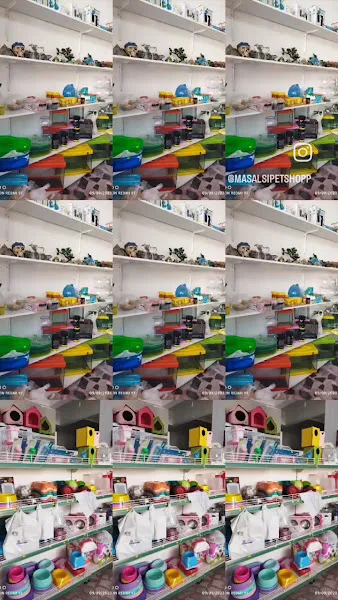Masalsı Petshop & Balık Av Malzemeleri foto 2