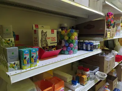 Hanımeli PetStore - Kuş, Kedi, Köpek, Kemirgen Aksesuarları ve Balık Galerisi (Ataşehir muhabbet kuşu, sultan papağanı)
