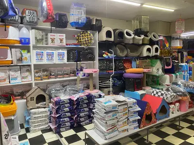 otantik petshop