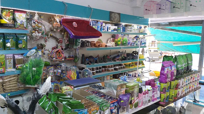 Altın Akvaryum & Pet Shop foto 1