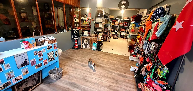 Çakıltaşı Petshop foto 2