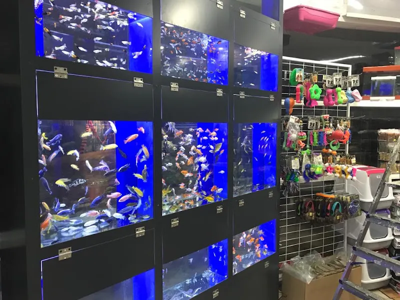Ada petshop akvaryum 2 foto 2