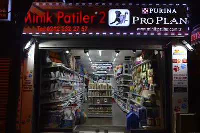 minik patiler 2