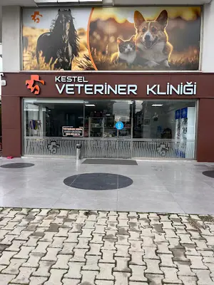 Kestel Veteriner Kliniği
