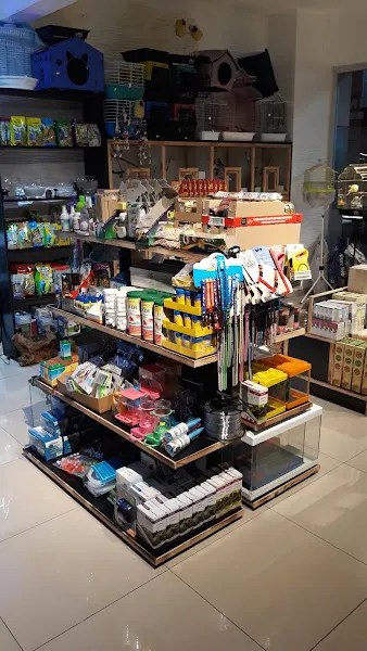 Golden petshop foto 2