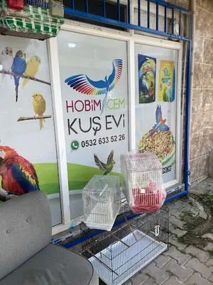Hobimcem Kuş Evi - Muhabbet Kuşu & Sultan Papağanı Üretim Merkezi