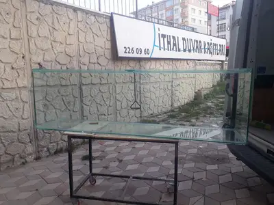 Penguen Akvaryum