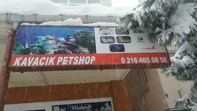 Kavacik Petshop