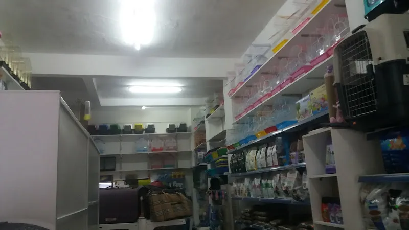 Kavacik Petshop foto 2