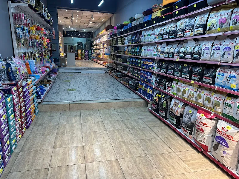 Pet Show Petshop foto 2