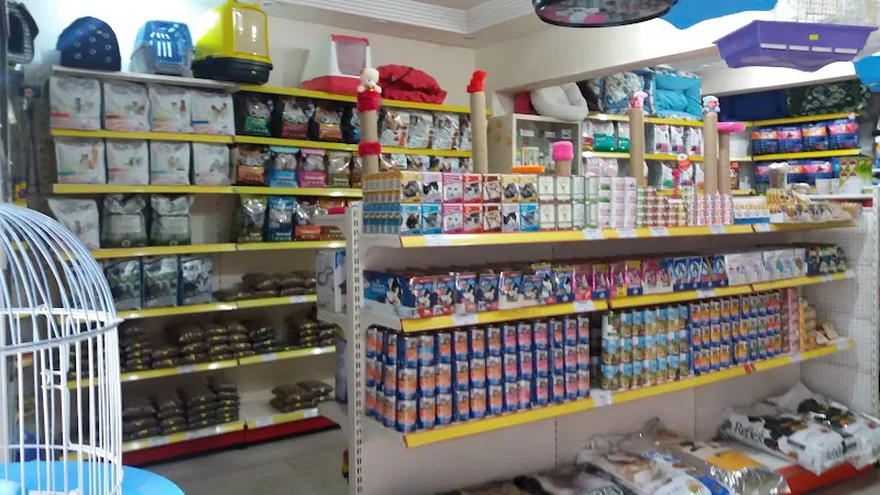 Petmanya - Evcil Hayvan Marketi - Petshop (Yedikule) foto 2