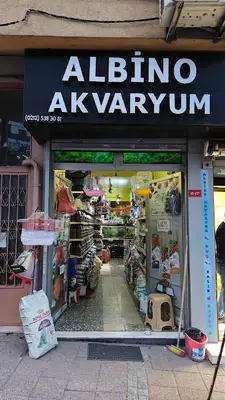Albino Akvaryum