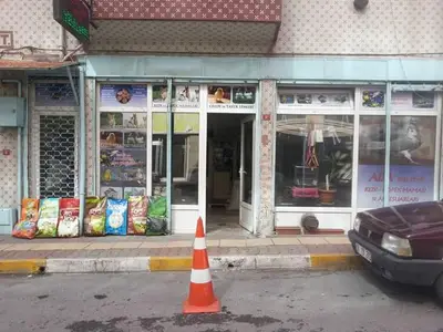 Ada Kuş Yemi