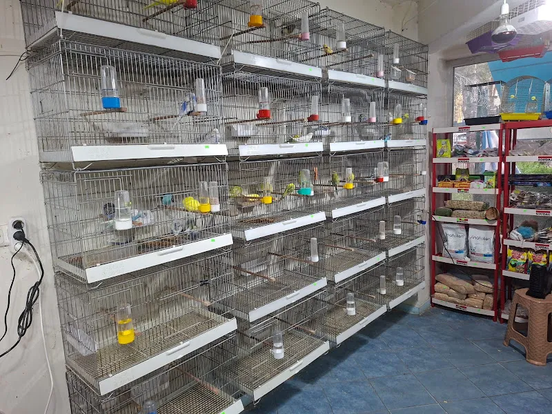 Deniz Mavisi Petshop foto 2