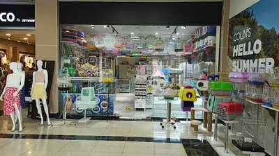 Felicia Can petshop
