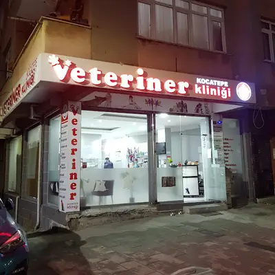 Kocatepe Veteriner Kliniği