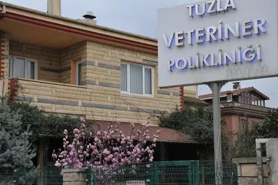 TUZLA VETERİNER KLİNİĞİ 7/24 acil (ÖZEL)