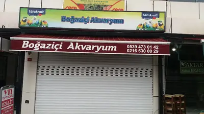 Boğaziçi Akvaryum & Pet Shop