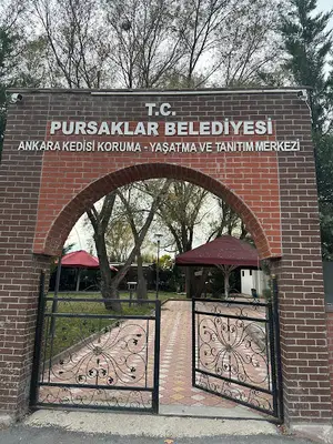 Ankara Kedisi Koruma Yaşatma Ve Tanıtma Merkezi