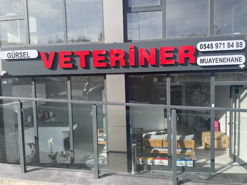 Gürsel Veteriner Kliniği foto 1
