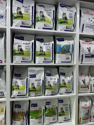 Levent Koala Veteriner Kliniği