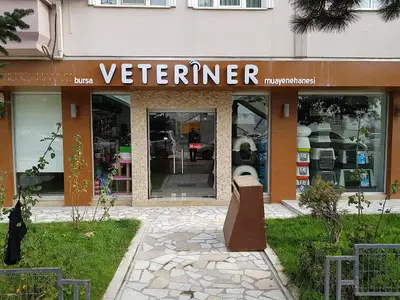 Bursa Veteriner Muayenehanesi