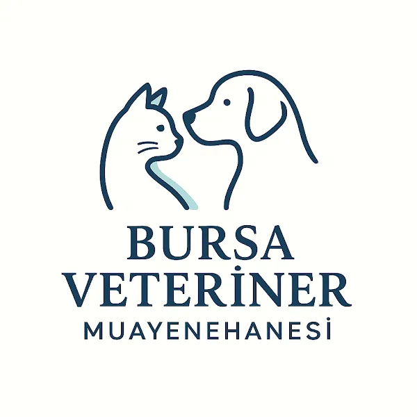 Bursa Veteriner Muayenehanesi foto 2