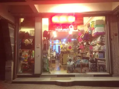 Gümüşpala Petshop Avcılar istanbul