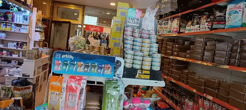 Gümüşpala Petshop Avcılar istanbul foto 2
