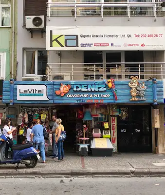 Deniz Akvaryum