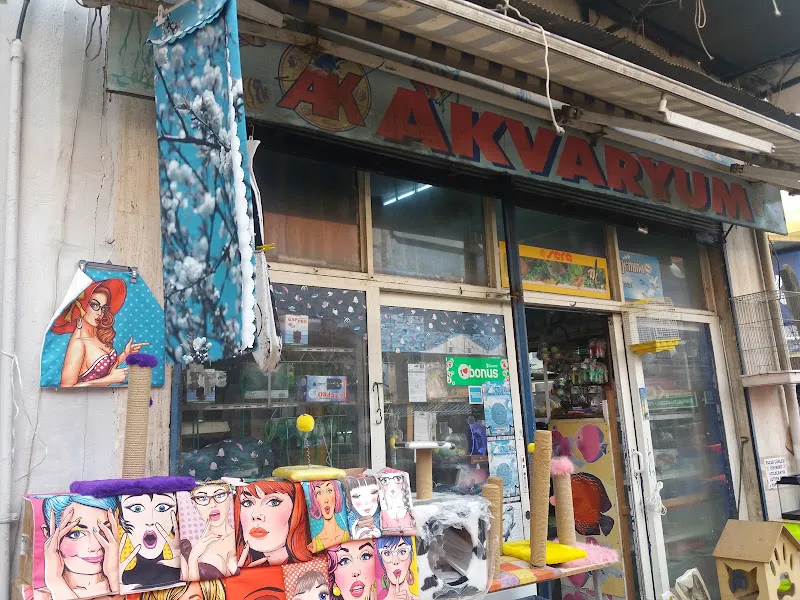 Deniz Akvaryum foto 2