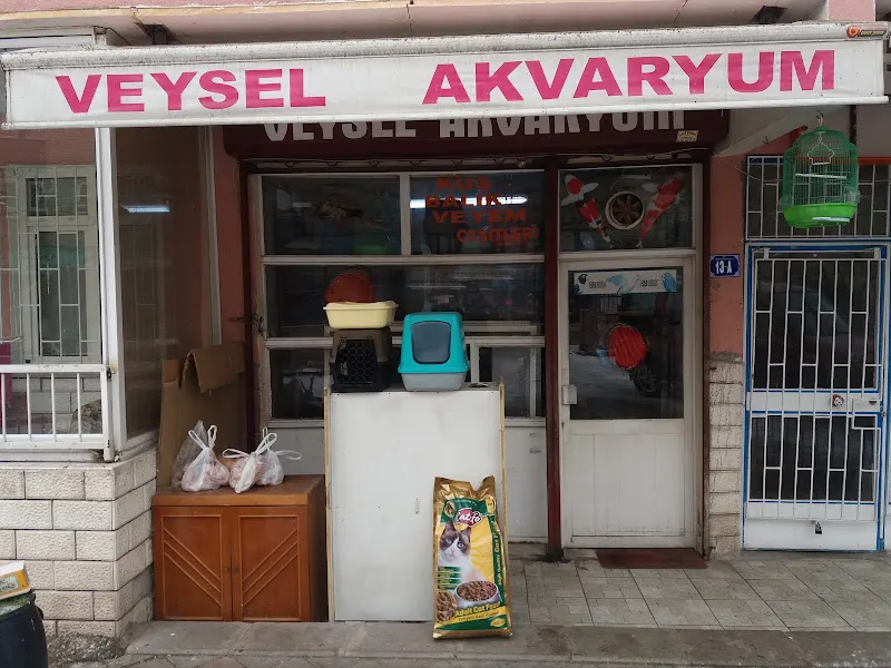 Veysel Akvaryum foto 1