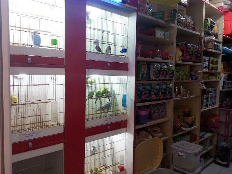 SEÇKİN PETSHOP AKVARYUM foto 2