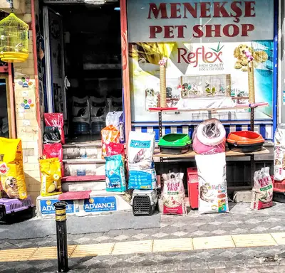 Beylikdüzü Esenyurt pet shop