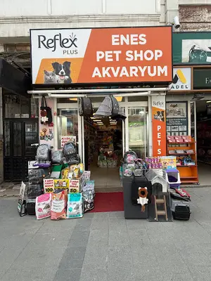 Enes Akvaryum