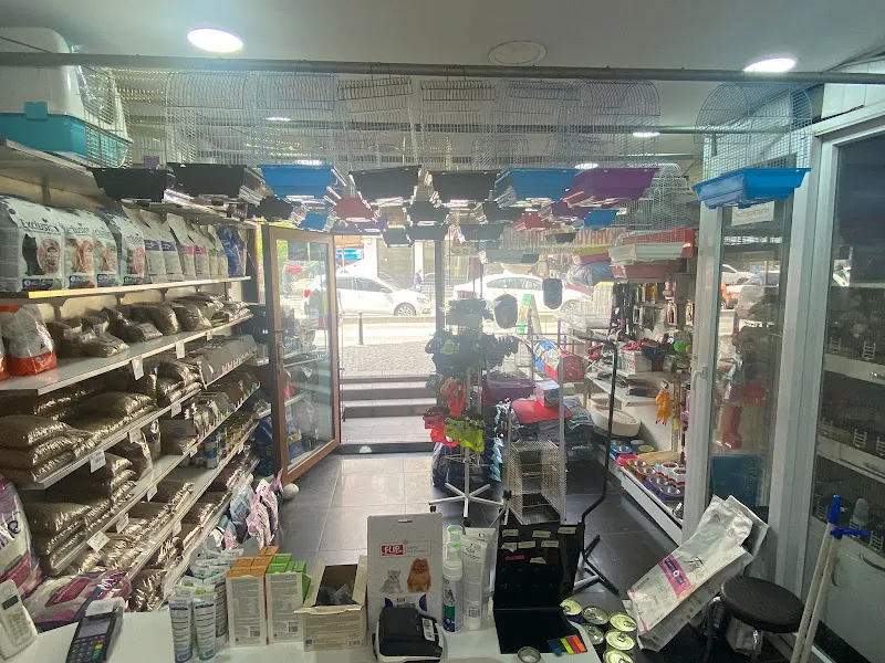 Çarşı Pet Shop foto 2