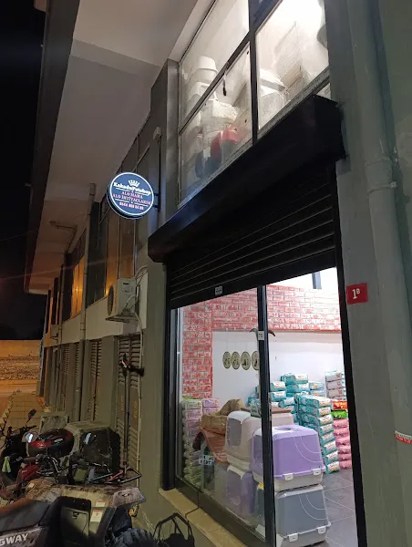 KakaduPetshop-Zeytinburnu~Dikilitaş foto 1