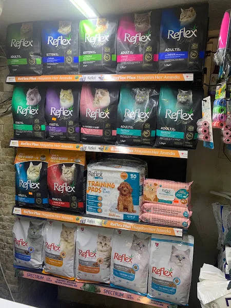 Cihangir Pet Shop foto 2