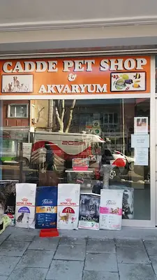 Cadde Petshop & Akvaryum