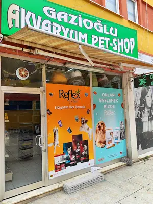Gazi Oglu Akvaryum Pet Shop