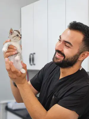 Petricor Veteriner Kliniği - Beylikdüzü Veteriner