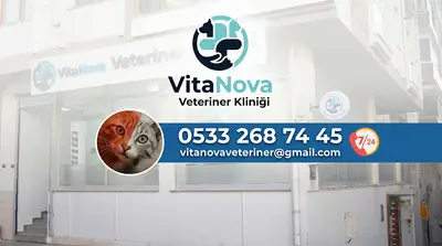 Vitanova Veteriner Kliniği