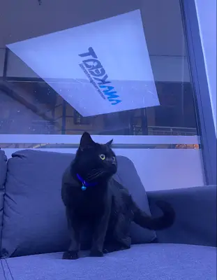 Anakent Veteriner Kliniği
