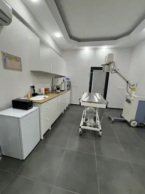 Bakırköy Veteriner - Pati Time Veteriner Kliniği